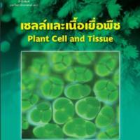 เซลล์และเนื้อเยื่อพืช<br />
